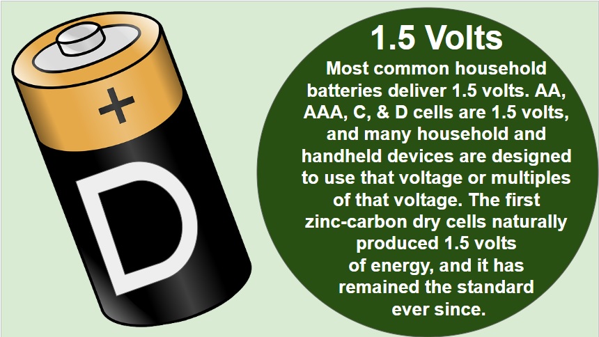 Size D batteries 